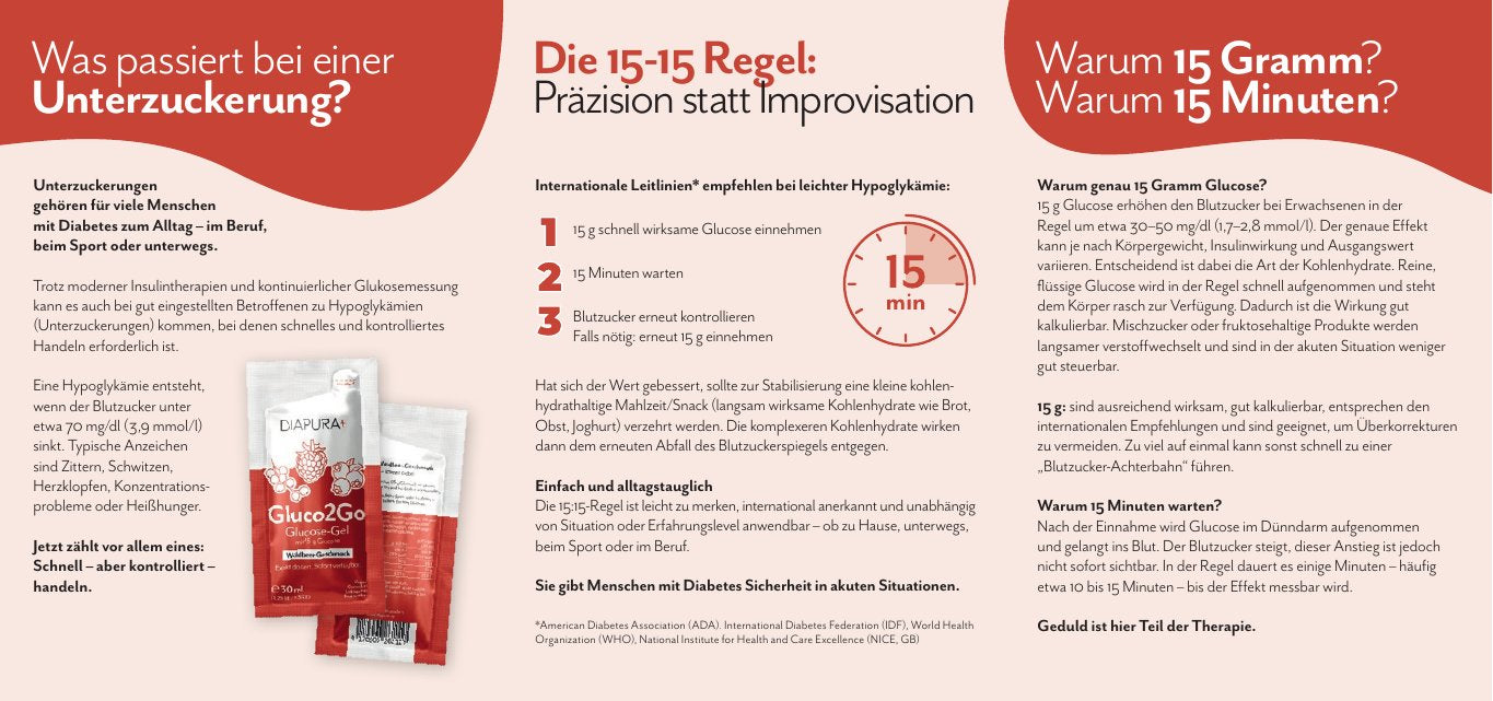 Gluco2Go Flyer Rückseite